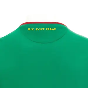 Home jersey Ternana Calcio 2022/23 image-3