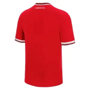 T-Shirt Pays de Galles Rugby XV Merch RWC image-1