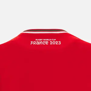 T-Shirt Pays de Galles Rugby XV Merch RWC image-3