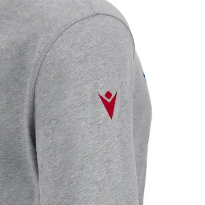 Camiseta Gales Rugby XV Merch RWC image-4