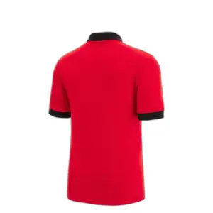 Polo Pays de Galles Rugby XV Merch CA LF RWC image-1
