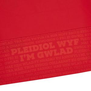 Baby home jersey Wales RWC 2023 image-3