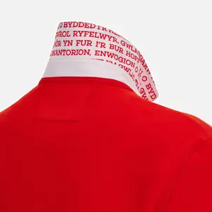 Pólo doméstico de algodão Pays de Galles 6NT 2023 image-3