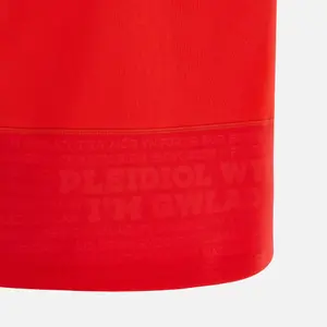 Pólo doméstico de algodão Pays de Galles 6NT 2023 image-4