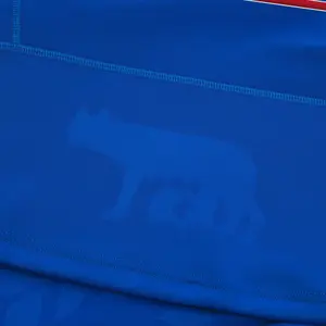 Maillot Domicile Authentique Italie 2023/24 image-4