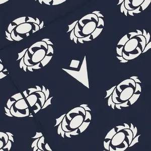 Sjaal Écosse image-1