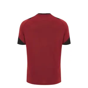 Children's training jersey Pays de Galles 6NT 2023 image-1