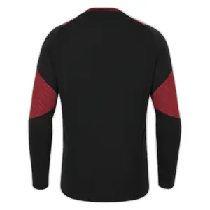 Wales hosszú ujjú edzőmez 6NT 2023 image-1