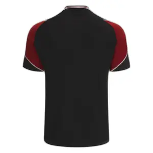 Træningstrøje Pays de Galles 2023 image-1