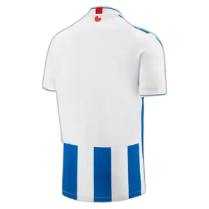 Camisola doméstica autêntica Sportclub Heerenveen 2023/24 image-1