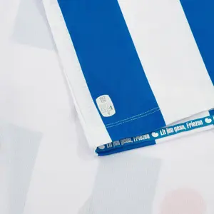 Camisola doméstica autêntica Sportclub Heerenveen 2023/24 image-5