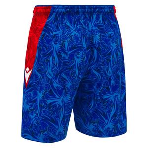 Short Crystal Palace Home 2024/25 image-5