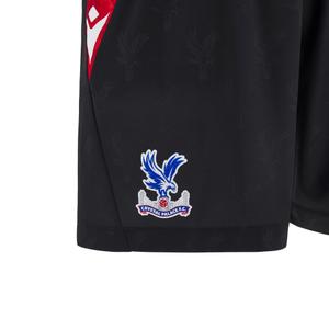 Short third Crystal Palace 2024/25 image-3