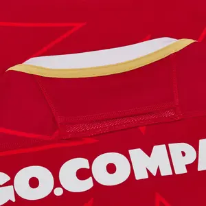 Camiseta Local slim Gales Six Nations 2024 image-5