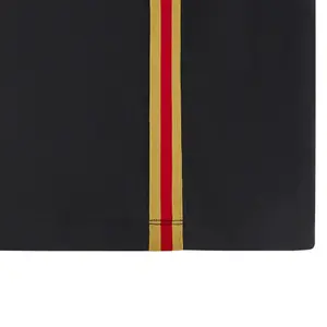 Maglia del Galles TRV 2024 image-2