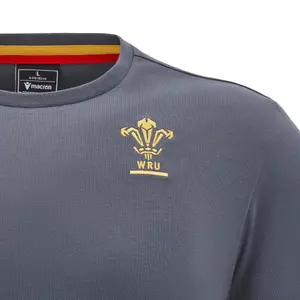 Camiseta de Gales Travel 2024 2024 image-2