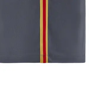 Camiseta de Gales Travel 2024 2024 image-3