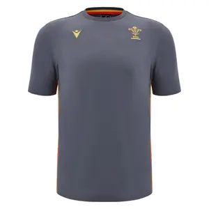 Camiseta de Gales Travel 2024 2024 image-0