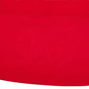 Camiseta Local slim Gales Six Nations 6NT 2024 image-2