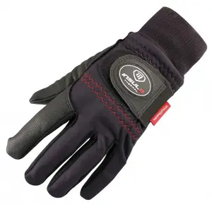 Ein Paar Winterhandschuhe für Frauen Masters Insul 8 image-0