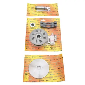 Controlador de velocidade para motociclos Malossi Variotop Peugeot 103 Spx-Rcx image-1