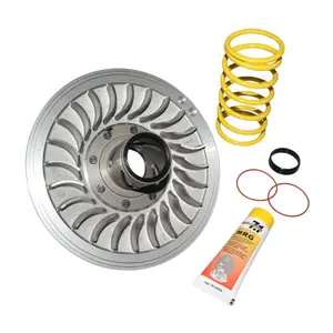 Drehmomentkorrektor mit Feder Malossi Yamaha 500 Tmax 2001+2011 image-0