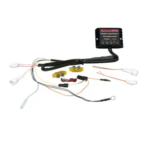 Caja Cdi Malossi Force Master 2 Yamaha 300 Xmax 4t Lc Ie Euro 4 2017+ image-0