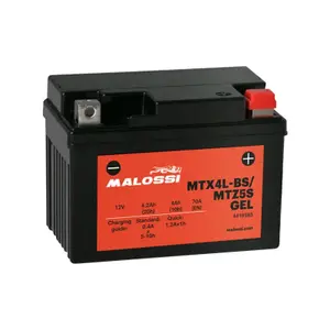 Motorcycle battery Malossi MTX4L-BS MTZ5S image-0