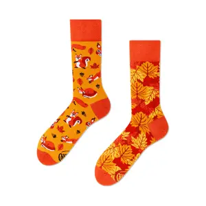 Socken Many Mornings The Squirrels image-0