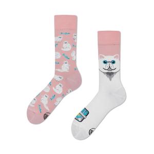 Football Socks Many Mornings Cat