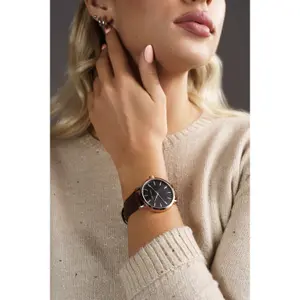 Ver Marc Lauder Bologna image-1