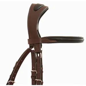 Riding bridles T de T Lautrec image-1