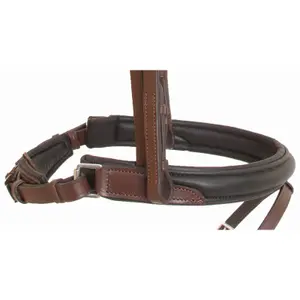 Riding bridles T de T Lautrec image-2