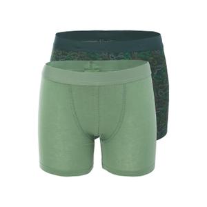 Children's boxer shorts Martes Essentials Nicko (x2)