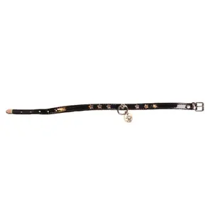 Dog collar Martin Sellier Vernis Etoil image-0