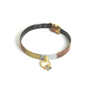 Dog collar Martin Sellier Multico image-0