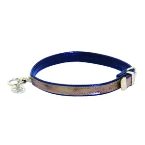 Dog collar Martin Sellier Granite image-0