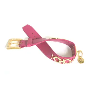 Dog collar Martin Sellier Deco image-0