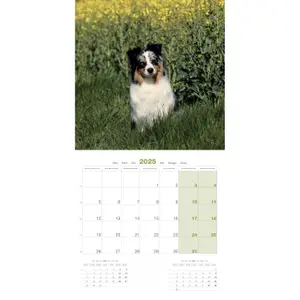 Calendar Martin Sellier Berger Australien image-2
