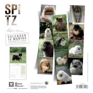 Calendar Martin Sellier Spitz image-1
