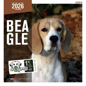 Calendar Martin Sellier Beagle image-0