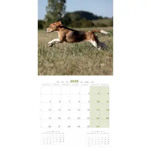 Calendar Martin Sellier Beagle image-2