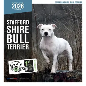 Kalender Martin Sellier Staffordshire Bull Terrier image-0