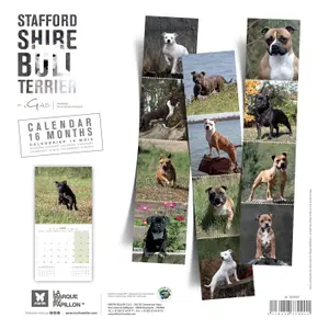 Kalender Martin Sellier Staffordshire Bull Terrier image-1