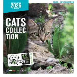 Calendar Martin Sellier Chats image-0