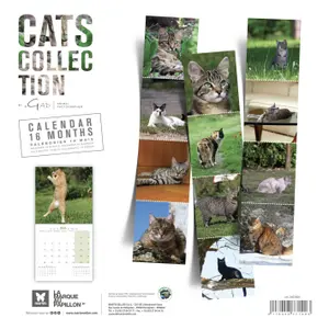 Calendar Martin Sellier Chats image-1