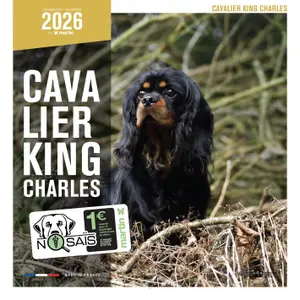 Calendar Martin Sellier Cavalier King Charles image-0