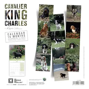 Calendar Martin Sellier Cavalier King Charles image-1