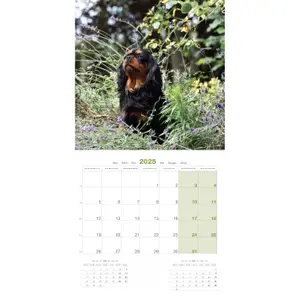 Calendar Martin Sellier Cavalier King Charles image-2