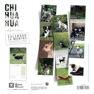 Calendario Martin Sellier Chihuahua image-1